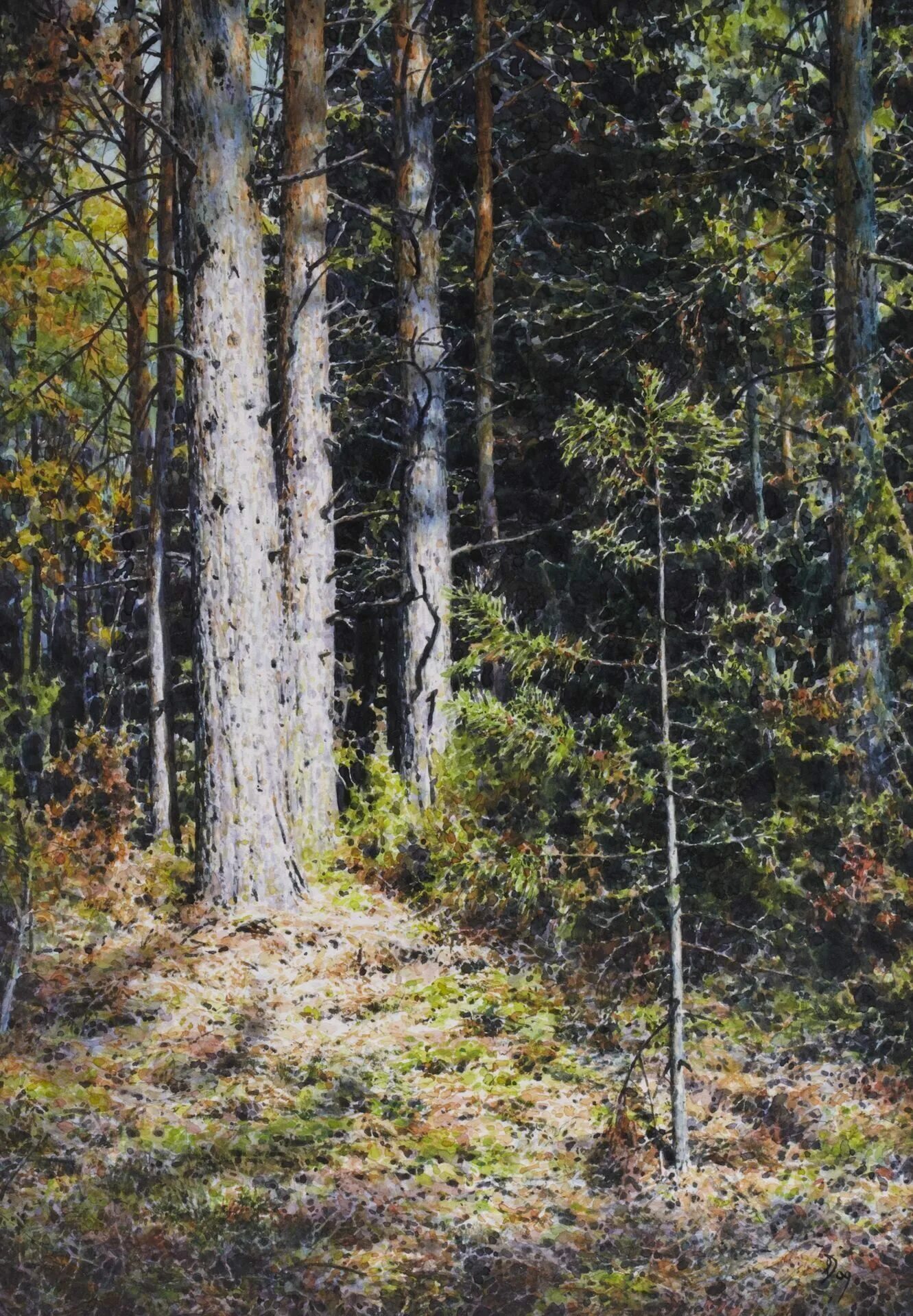 ели освещенные солнцем. лесная дорога. сергей николаевич трошин. красивый лес. андрей шильдер художник.