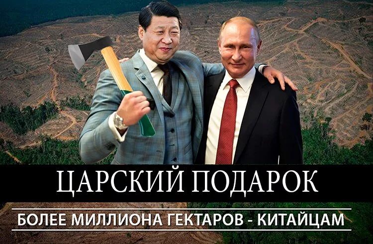 Китай захватит сибирь и дальний восток. Территории отданные китаю. Сибирь отдали китайцам. Территория отданная китаю в аренду. Китайцы в сибири.