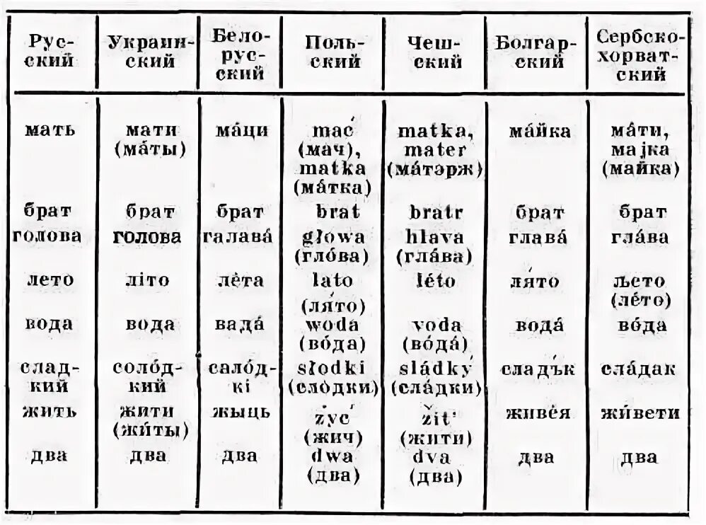 Таблица сравнения славянских языков. Схожие слова в славянских языках. Славянские языки таблица. Сходство славянских языков таблица. Славянская лексика
