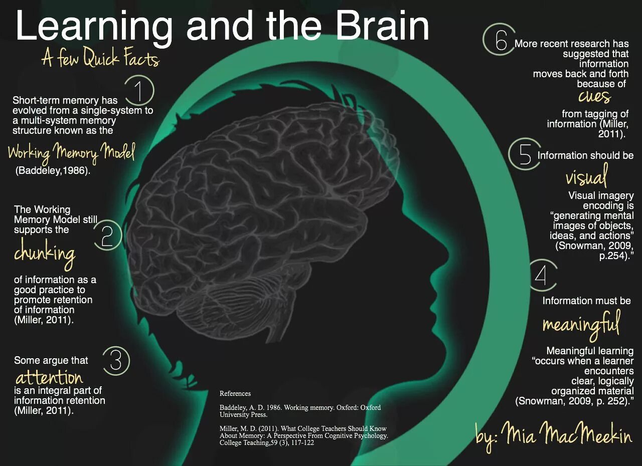 Want brains. Мозг инфографика. Brain. Факты о мозге инфографика. Мозг психология.