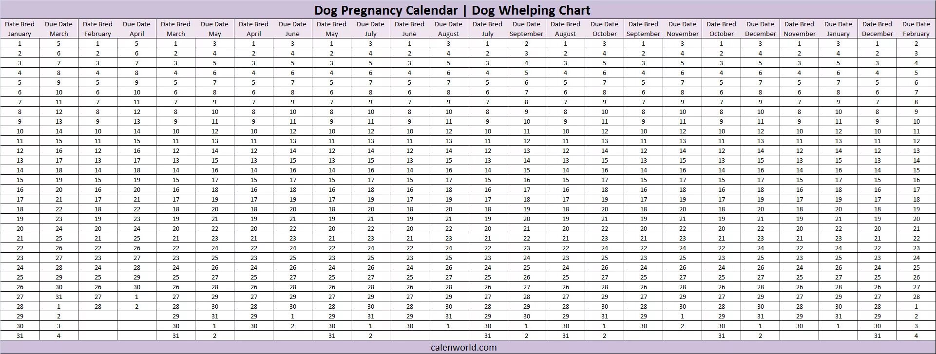 Календарь зачатия по родам. Беременность у собак по дням таблица. Таблица вязки и родов у собак. Таблица срока родов у собаки. Календарь беременности собаки.