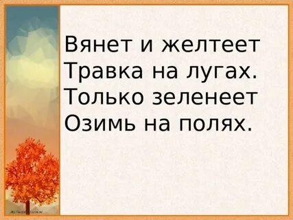Дождик без конца лужи у крыльца
