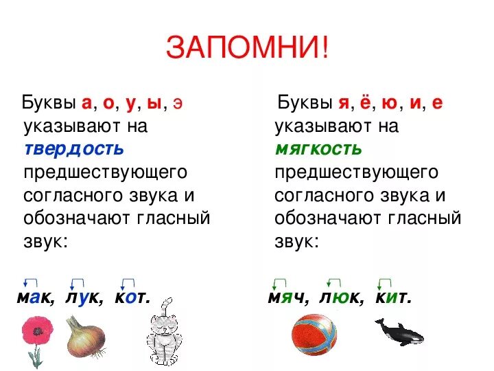 Плоды звуки и буквы. Буквы обозначающие мягкость предшествующего согласного звука. Гласный звук указывает на мягкость предшествующего согласного. Гласные звуки указывающие на мягкость предшествующего согласного. Буква обозначает мягкость предшествующего звука.