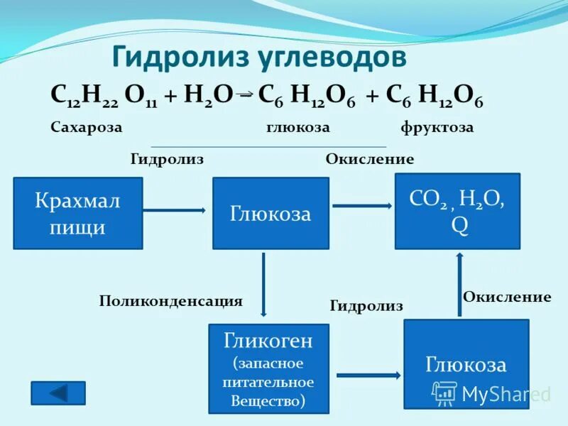 схема процесса гидролиза крахмала. схема кислотного гидролиза крахмала. схема кислотного гидролиза крахмала. полное окисление крахмала. полное окисление крахмала.