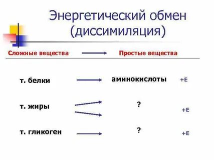 Что такое диссимиляция кратко