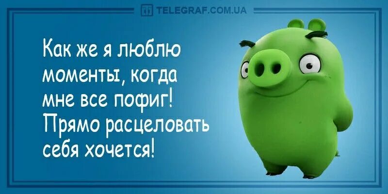 И мне будет завтра пофиг как. Картинки мне пофиг. пофиг на все. картинки когда все пофиг. картинки когда всё пофиг.