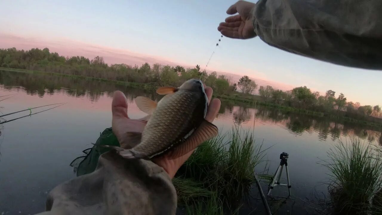 Фидер (рыбная ловля). Лодка для рыбалки. Fishing ponds in uzbekistan. Штекерное удилище ловля. Рыбалка на пруду видео.