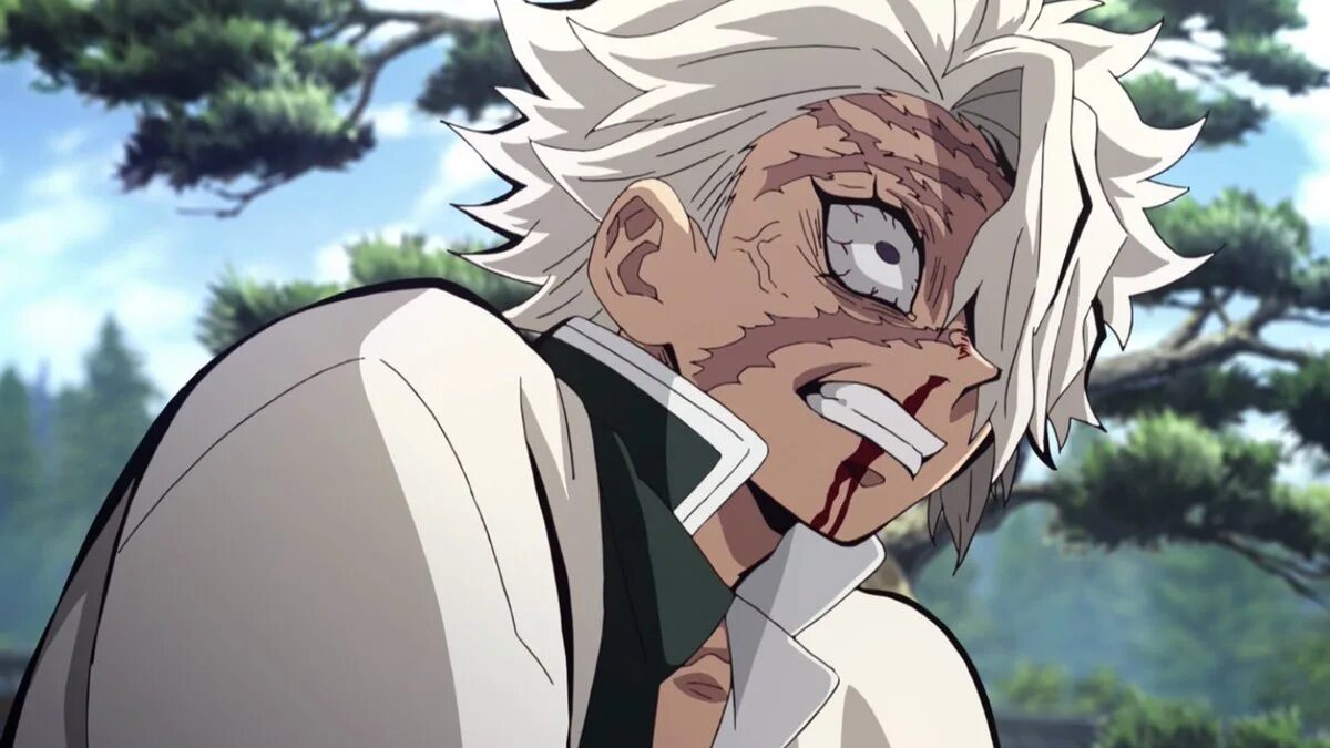 Санеми шинагудзава. Гарда санеми шинадзугава. Санеми шинадзугава демон. Санеми шинадзугава клинок рассекающий демонов. Катана санеми шинадзугава.