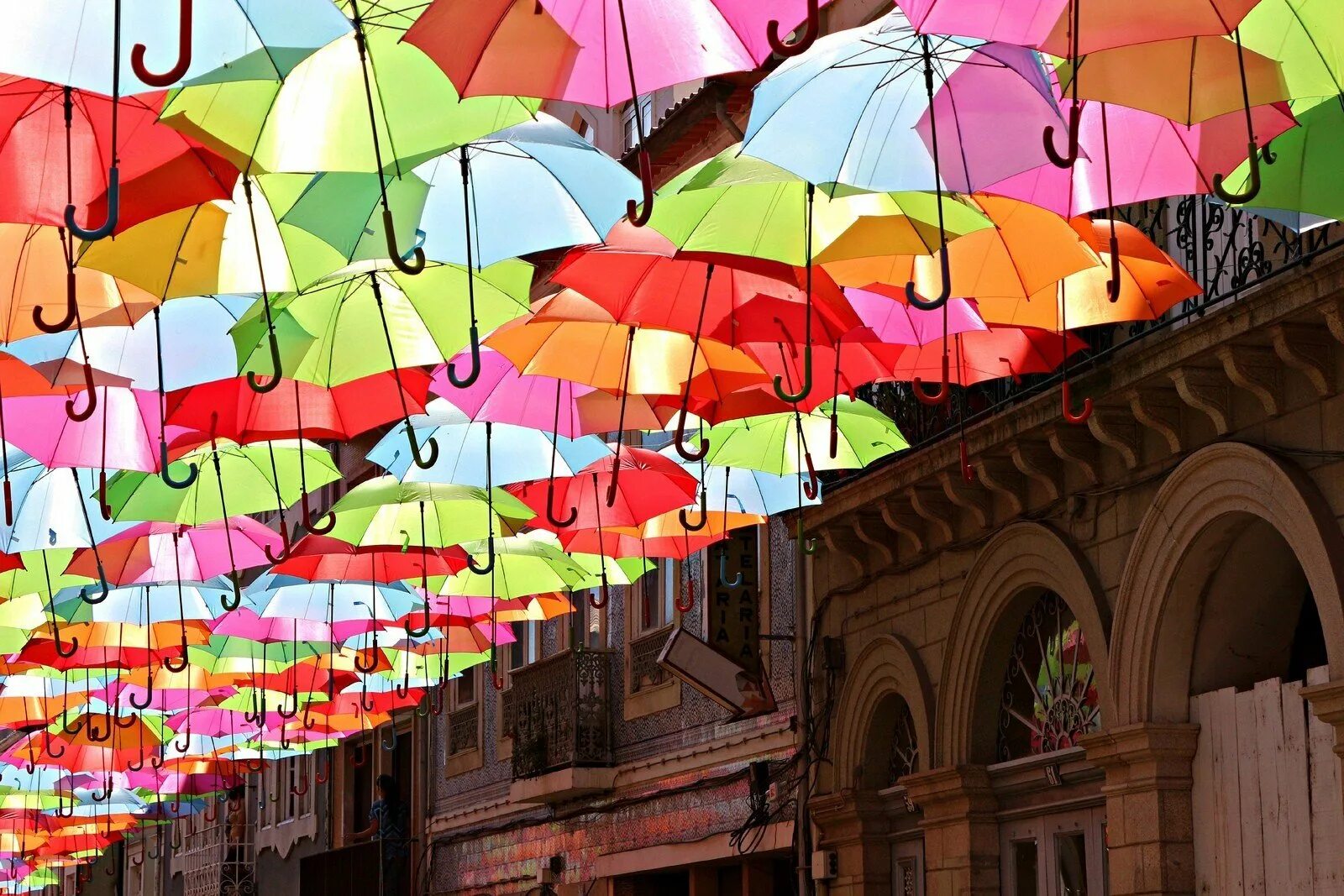 Соляной переулок Санкт-Петербург зонтики. Зонтики яркие. Разноцветные зонтики. Красивые зонтики. Автор зонтики