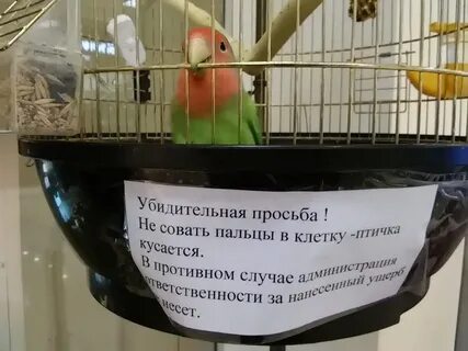 Клетка пальцами
