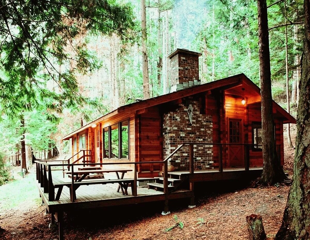 Домик в лесу с баней. Баня байкальская ривьера гремячинск. Домик в лесу с баней. Уютный деревянный домик в лесу. Домики в лесу для отдыха.