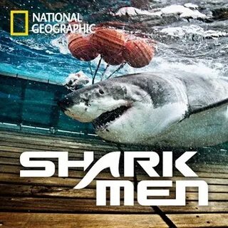 Shark playlist