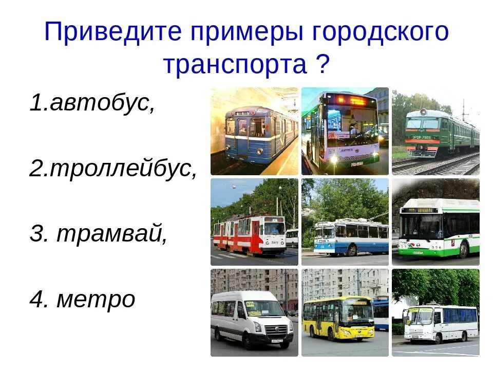 Номер автобуса или троллейбуса. Виды городского транспорта. Виды общественного транспорта. Транспорт виды транспорта. Городской транспорт примеры.