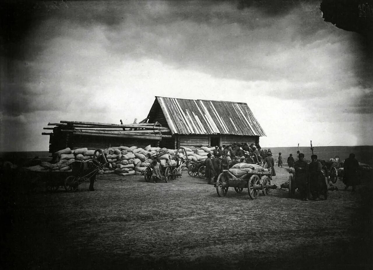 Село голодная. Неурожайный 1891-92 год в нижегородской губернии дмитриев. нижегородская губерния 19 век село. неурожайный 1891—1892 год в нижегородской губернии.