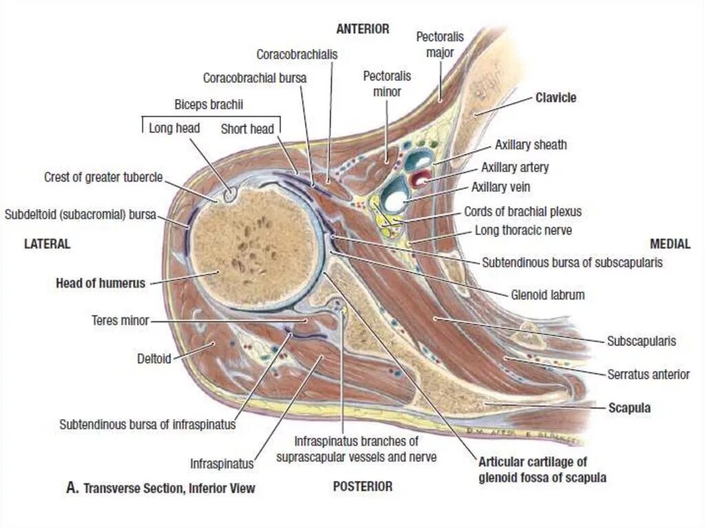 Water sensitive urban design wsud. Автокад проекты. Only section. Sat score calculator. Solidworks 3d модели.