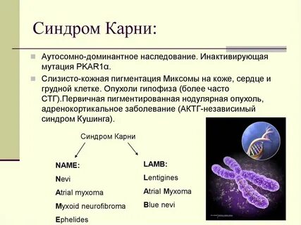 Роль генов в организме