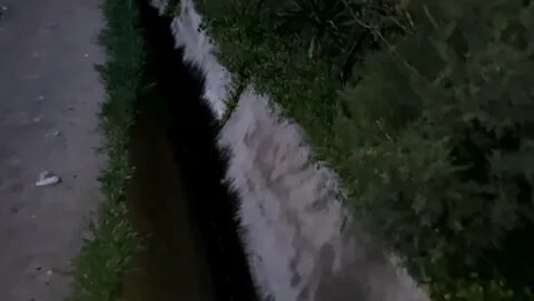 На обочине девочка тела