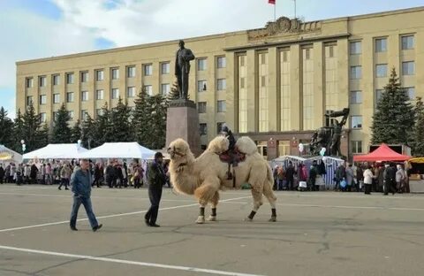 7 дней ставрополь