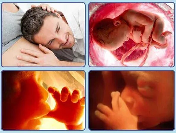 Почему в утробе матери икает. Ребёнок в животе икакт. Беременность ребенок икает в животе.