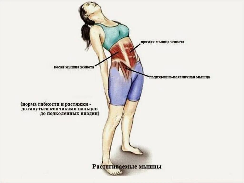 Сильная боль в подвздошной. Подвздошная спинная мышца. Упражнения для подвздошной мышцы живота. Растяжение подвздошной мышцы. Растяжка подвздошно-поясничной мышцы упражнения.