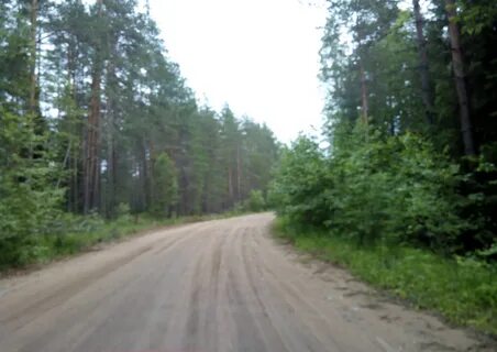 Погода горы новгородская область