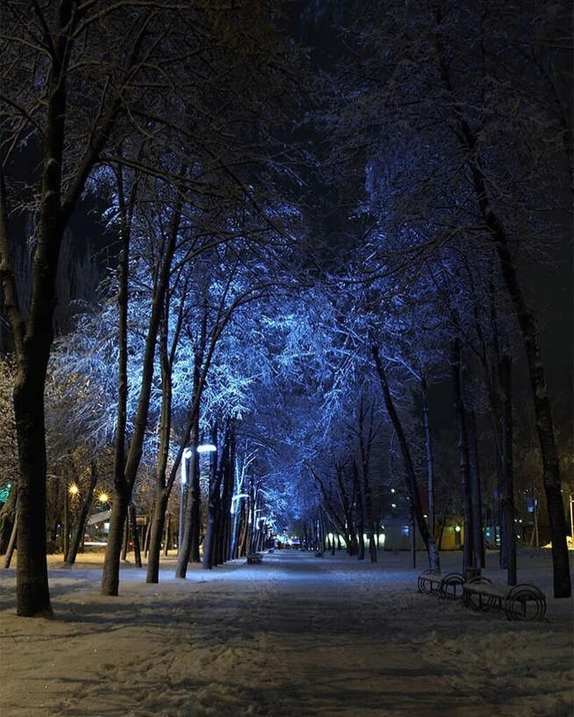 Ночной зимний город. Зимний парк. Зимний парк ночью. Зима. К вечеру.