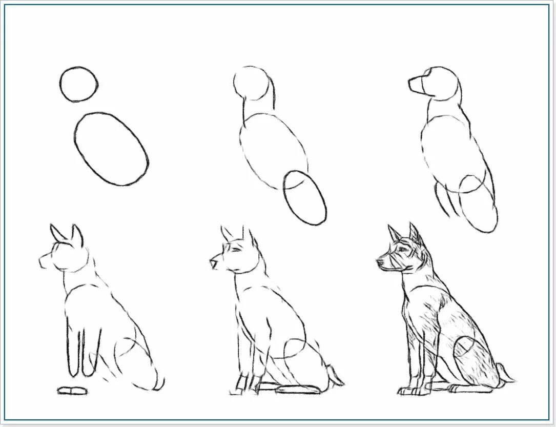 Схема собаки рисунок. Поэтапное рисование собаки. Собака рисунок карандашом. Схема рисования собаки. Лёгкие рисунки.