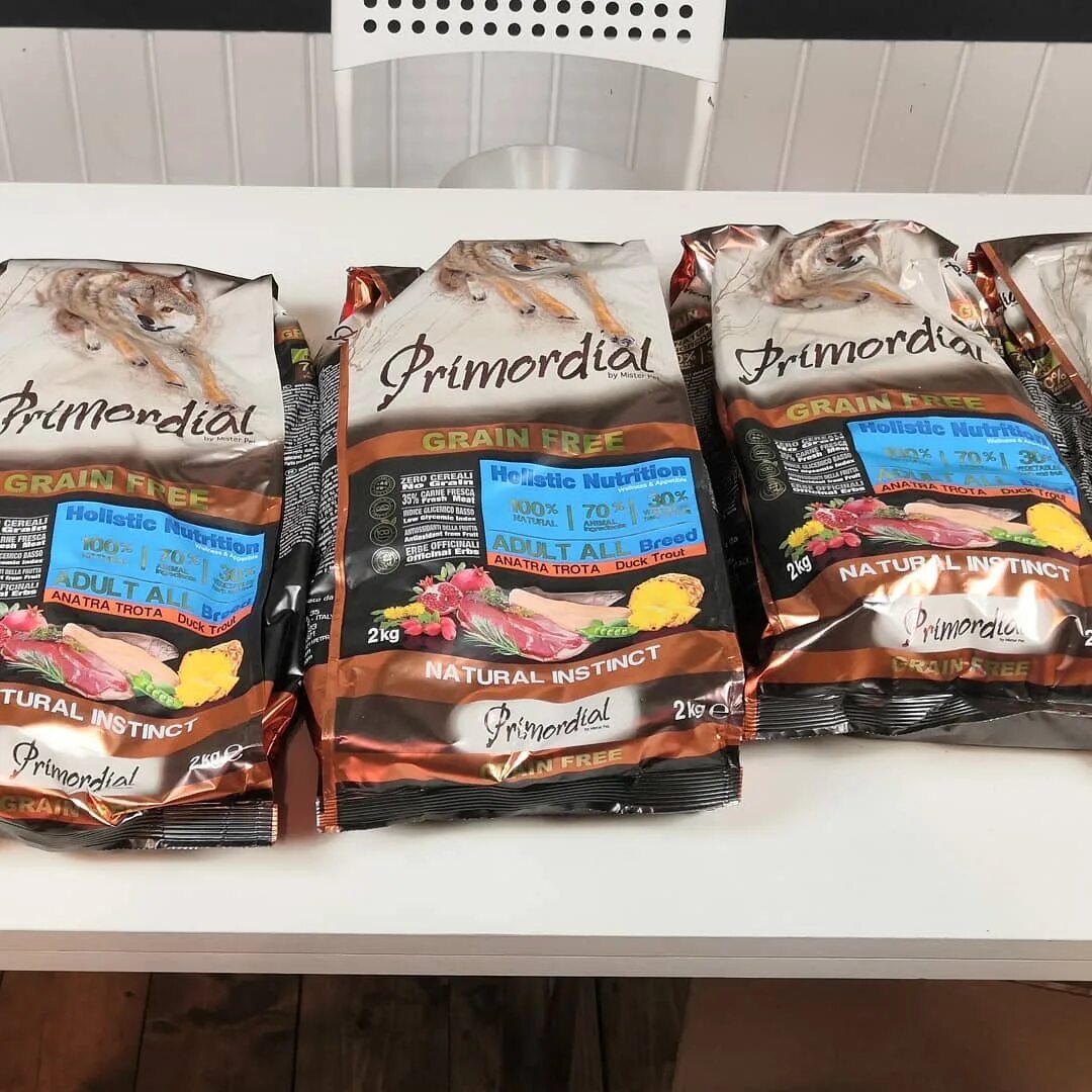 Хвостатый питомец. Хвостатый питомец. Хвостатый питомец. Хвостатый питомец youtube. Хвостатый питомец.