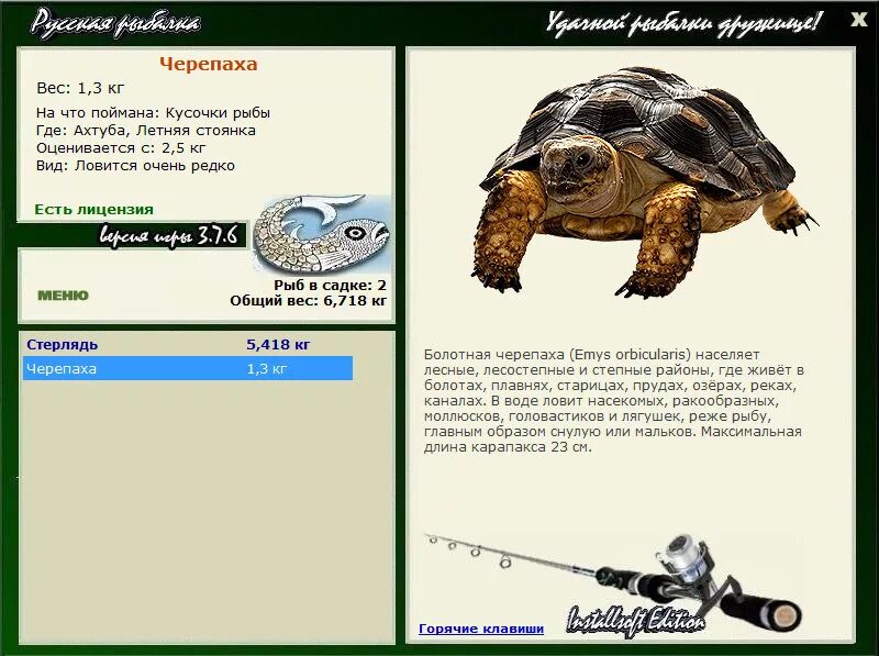 русская рыбалка 3 7 6 черепаха трофей. где ловить черепах. 6 черепаха. русская рыбалка 3 черепаха. где ловить черепах.