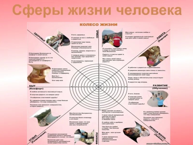 Перечислите основные жизненные