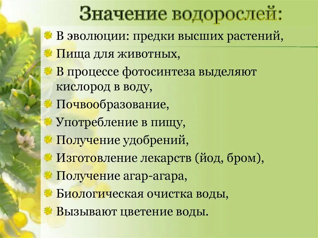 Значение папоротников в жизни природы. Значение папоротниковидных растений. Значение папоротниковидных. Значение папоротников в природе. Значение папоротникообразных.