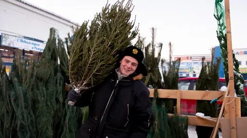 Елочный базар тюмень