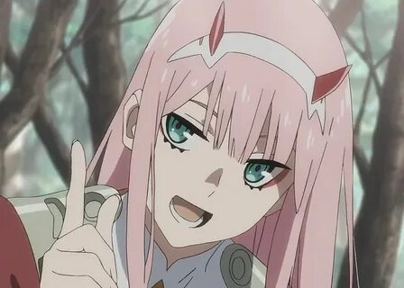 6 webm