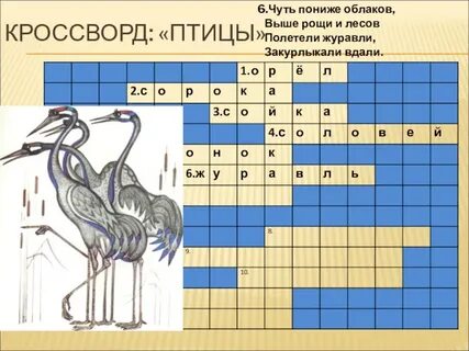Большая птица сканворд
