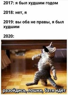 Сколько живут димы