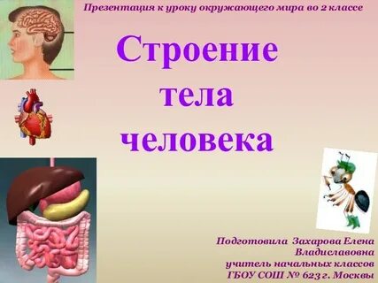 Проект человека 3 класс