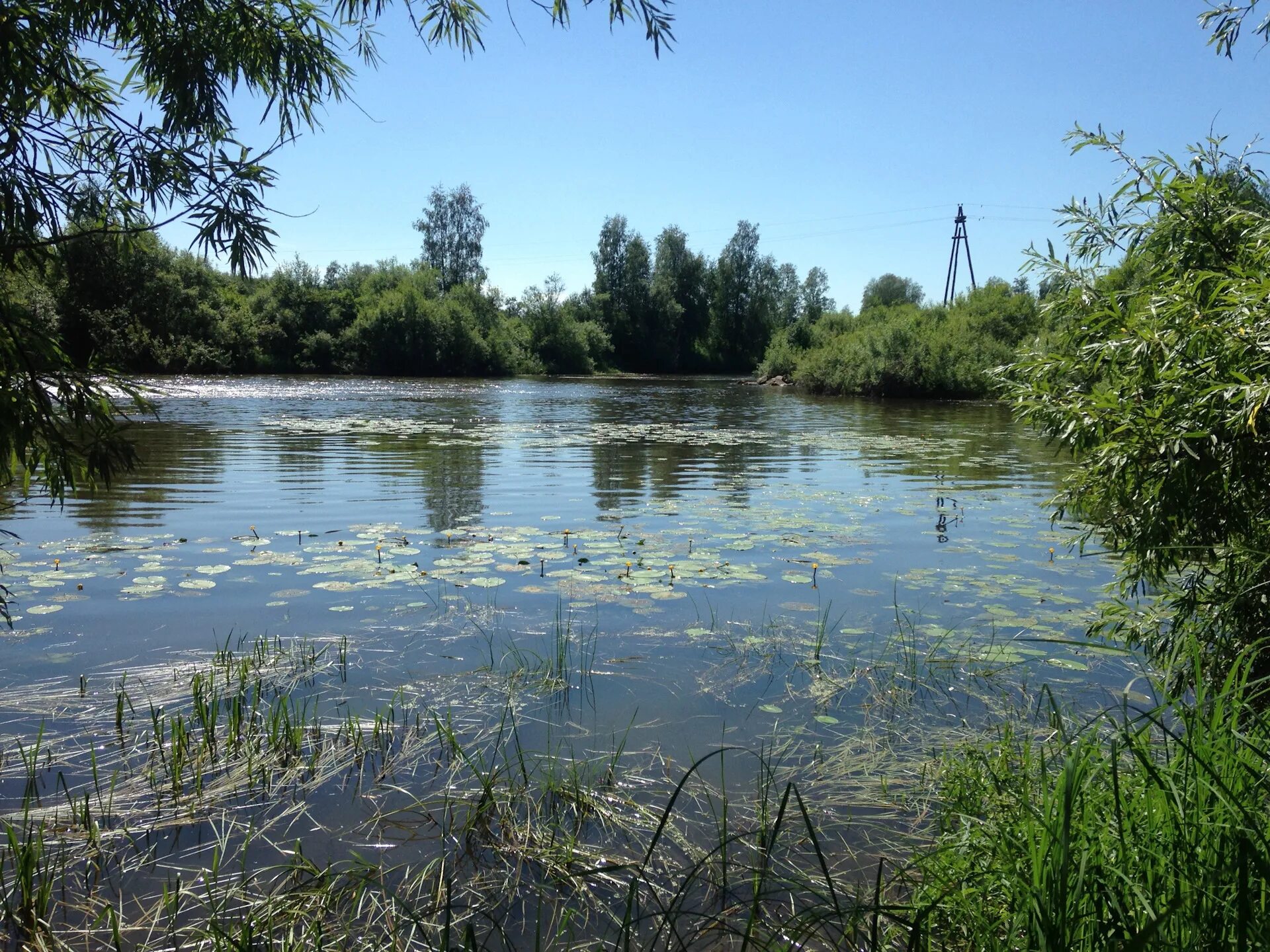 Река Рыбная Красноярский край. Село Рыбное Красноярский край река Рыбное. Река Рыбная Уярский район. Партизанский Каневской район речка. Погода в красноярском крае селе партизанском