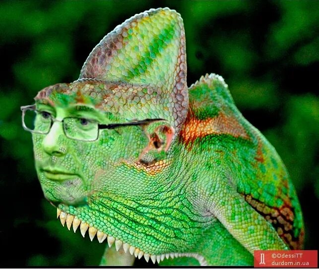 хамелеон лицо. хамелеон арт. хамелеон на руке человека. девушка хамелеон. хамелеон с человеческой головой.