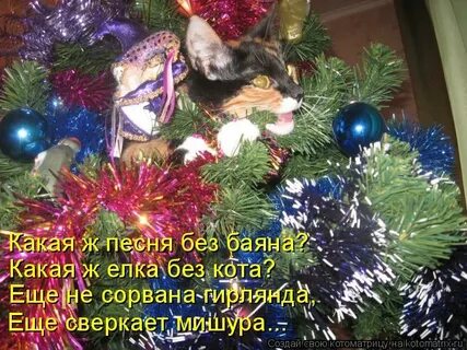 Какая ты елка