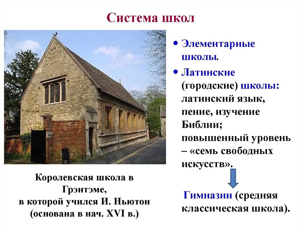 Греко латинская школа при печатном дворе. Греко латинские термины. Слова по латыни. Латинская школа. Школа на латинском.
