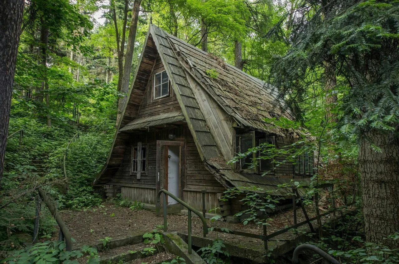 Первые дома и дачи. Заброшенная Хижина в лесу. Заброшенная дача. Дом в лесу. Заброшенный дом в лесу.