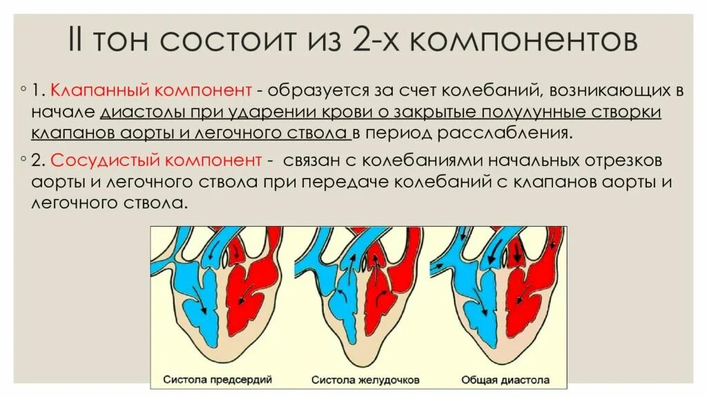 Систола желудочков длится дольше систолы предсердий. Систола и диастола сердца. Продолжительность систолы и диастолы. Сердечный цикл систола и диастола. Диастола желудочков.