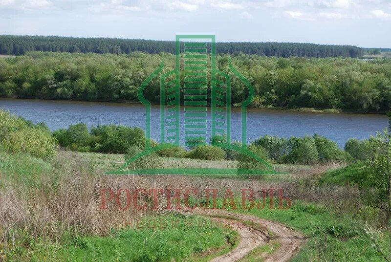 Колодези озеры. Белые колодези река ока. белые колодези московская область.