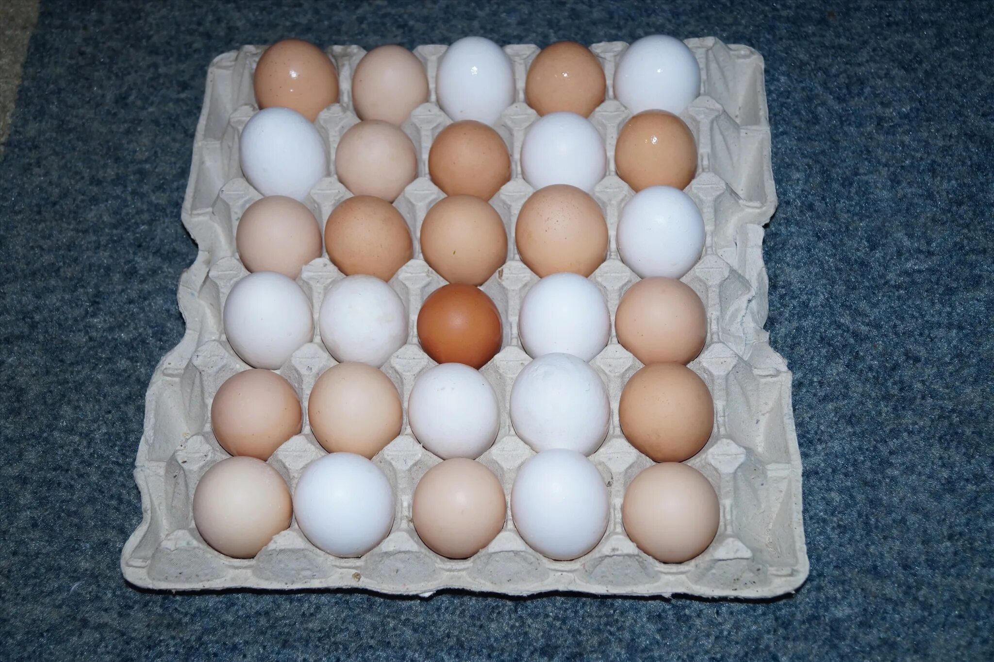 Яйцо свердловское купить. Яйцо домашнее. Домашние куриные яйца. Яйца домашние фото. Яйцо домашнее куриное фото.