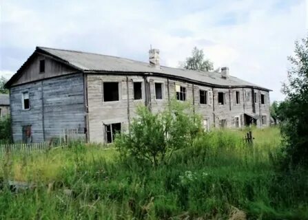Сосновка архангельская