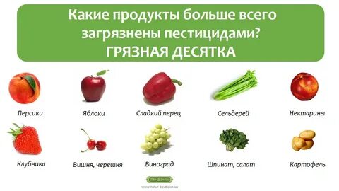 Овощи какие вещества
