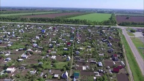Погода село павловское алтайского края