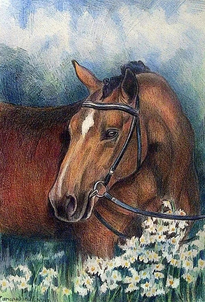 Картина лошадка. Лошади в живописи. Лошадь цветными карандашами. Пейзаж с лошадьми. Красивые рисунки лошадей.
