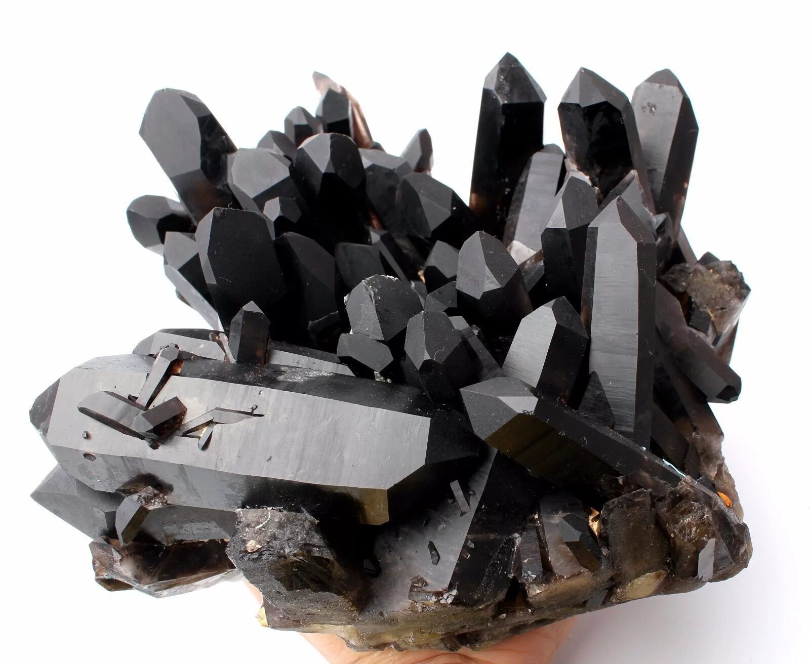 Черный кристалл какой цвет. Камень черный кварц Морион. Морион минерал чёрный кварц. Морион минерал Кристалл. Морион Кристалл камень минерал.