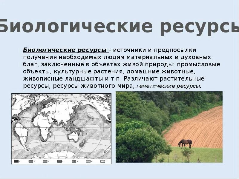 Сколько биологических ресурсов